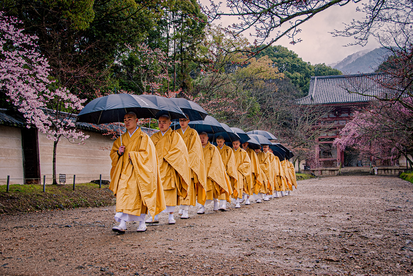 Monks going to morning service.