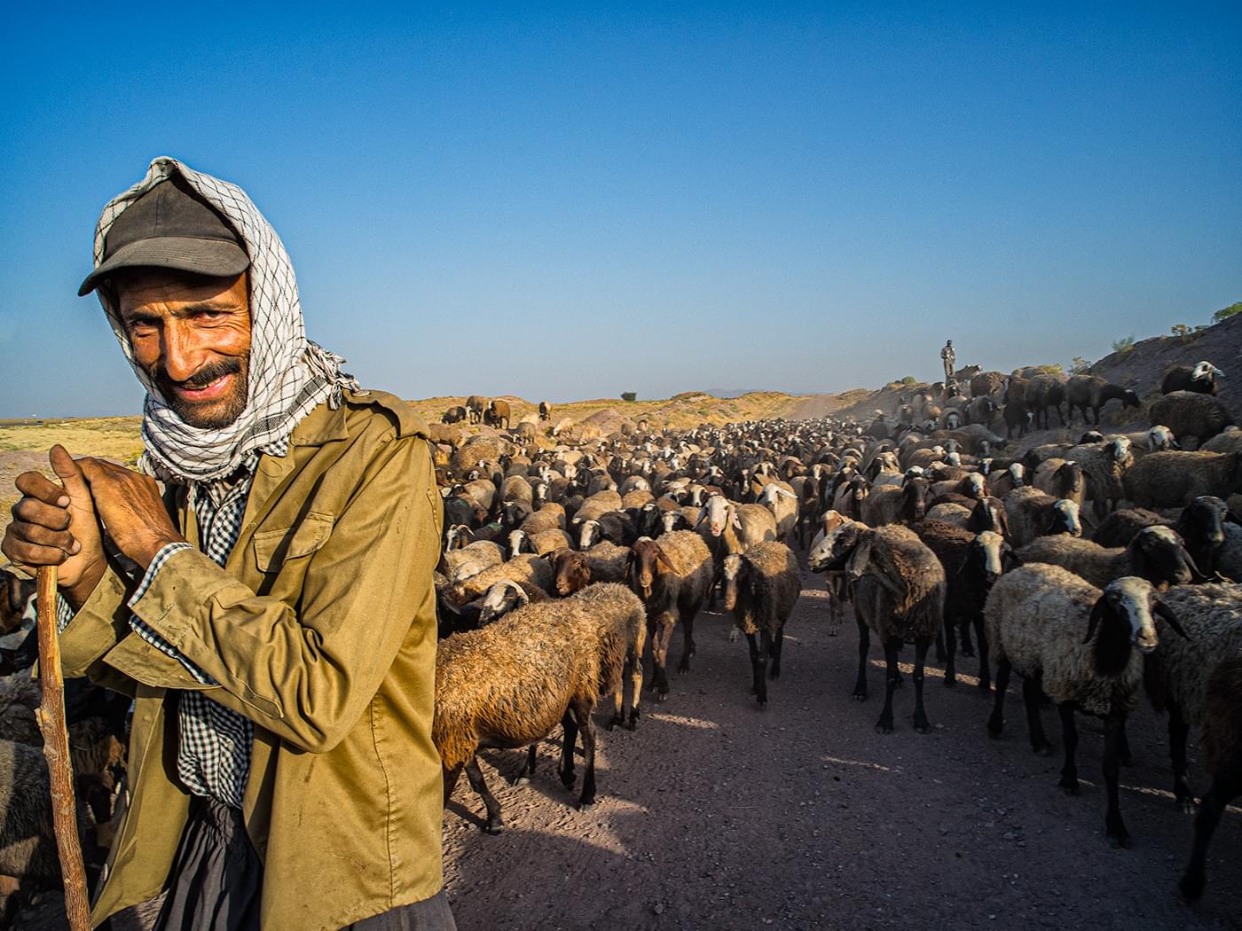 Iranian Shepherd somewhere in the north - Iran.
